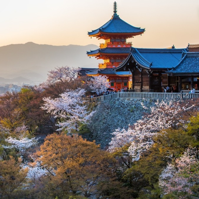 Cherry blossoms at Kiyomizu-dera Temple (Kyoto City)