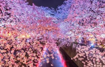 Meguro River (Tokyo) A popular cherry blossom spot among the youth, with beautiful illuminations.