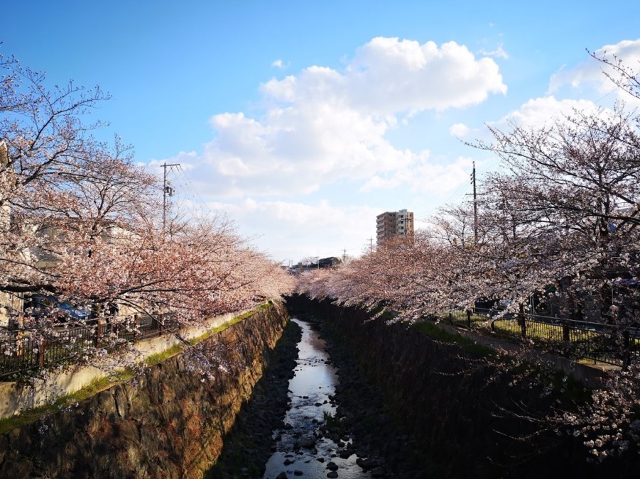 Yamazaki River Walking Path [Four Seasons Path] (Aichi Prefecture)★★☆☆☆